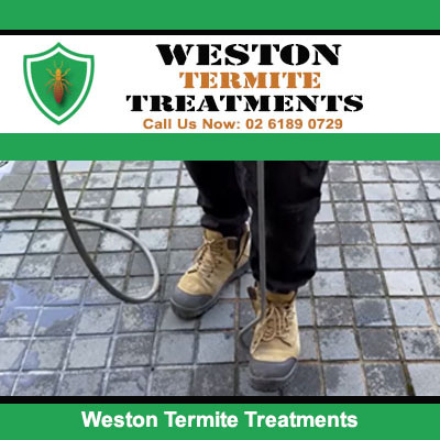 Pest control technician spraying termite treatment on outdoor paved area in Weston
